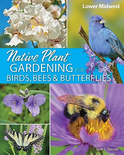 Beispielbild fr Native Plant Gardening for Birds, Bees &amp; Butterflies. Lower Midwest zum Verkauf von Blackwell's