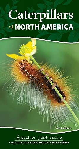 Beispielbild fr Caterpillars of North America zum Verkauf von Blackwell's