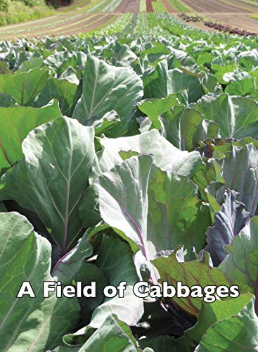 Beispielbild fr A Field of Cabbages zum Verkauf von Buchpark