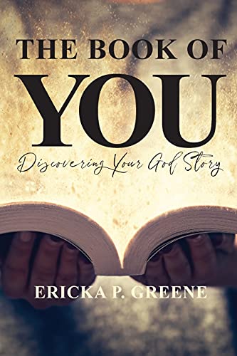 Imagen de archivo de The Book of You: Discovering Your God Story a la venta por Red's Corner LLC