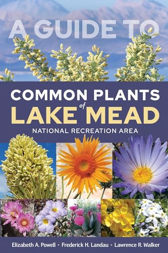 Imagen de archivo de A Guide to Common Plants of Lake Mead National Recreation Area a la venta por Books From California