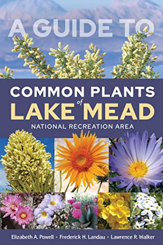 9781647790981: A Guide to Common Plants of Lake Mead National Recreation Area