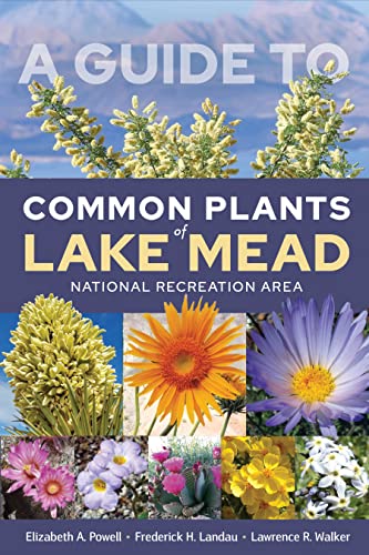 Stock image for A Guide to Common Plants of Lake Mead National Recreation Area for sale by Books From California