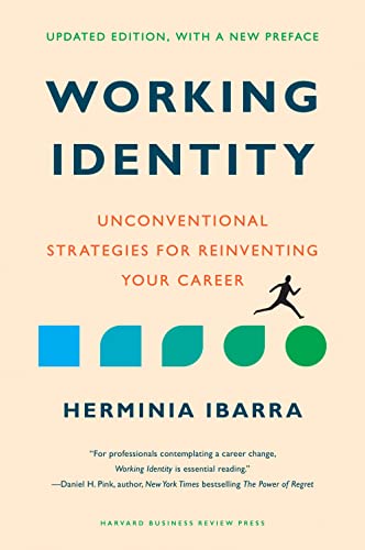 Stock image for Working Identity, Updated Edition, With a New Preface: Unconventional Strategies for Reinventing Your Career for sale by SecondSale