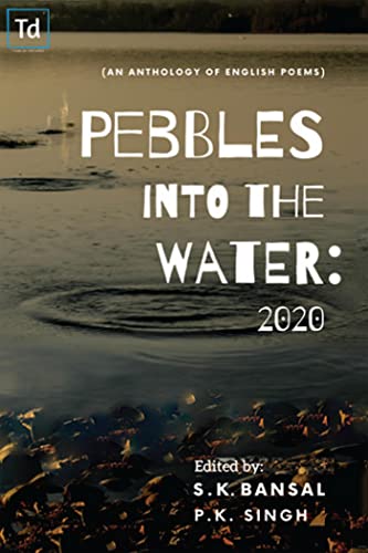 Stock image for Pebbles into the Water: 2020 for sale by Books Puddle