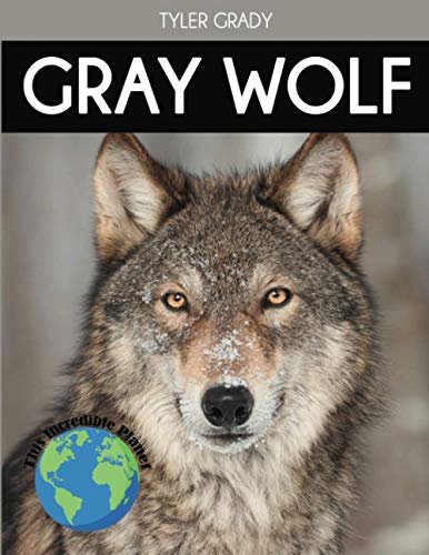 Imagen de archivo de Gray Wolf: Fascinating Animal Facts for Kids (This Incredible Planet) a la venta por Goodwill