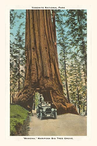 Stock image for The Vintage Journal Wawona, Mariposa Big Tree Grove, Yosemite, California for sale by GreatBookPrices