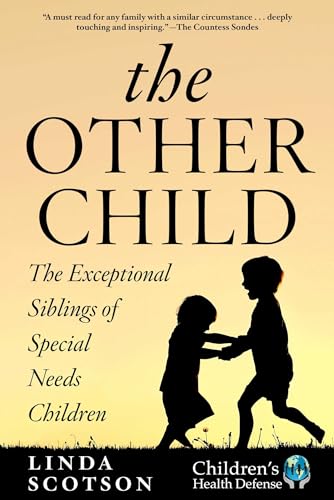 Imagen de archivo de The Other Child: The Exceptional Siblings of Special Needs Children a la venta por Revaluation Books