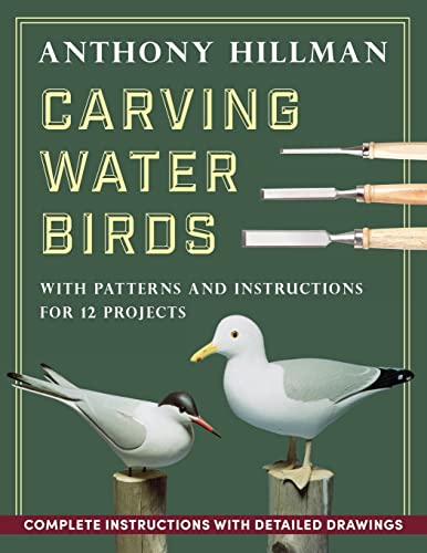 9781648370700: Carving Water Birds: Patterns and Instructions for 12 Models