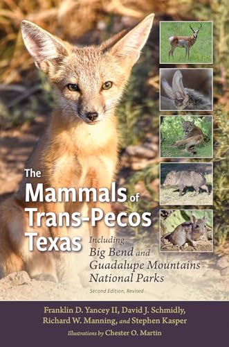 Beispielbild fr The Mammals of Trans-Pecos Texas: Including Big Bend and Guadalupe Mountains National Parks (Integrative Natural History Series, sponsored by Texas . Studies, Sam Houston State University) zum Verkauf von WorldofBooks