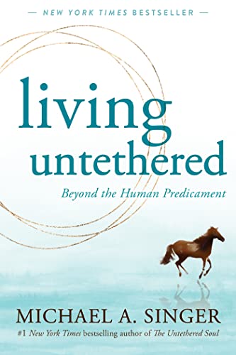9781648480935: Living Untethered: Beyond the Human Predicament