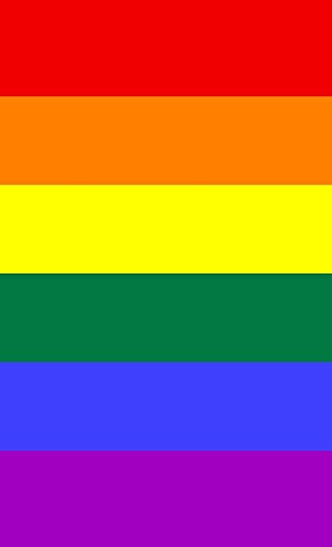 Imagen de archivo de LGBTQ+ Pride Rainbow Flag Journal (Flags of the World) a la venta por PlumCircle