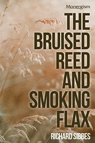 9781648631276: The Bruised Reed