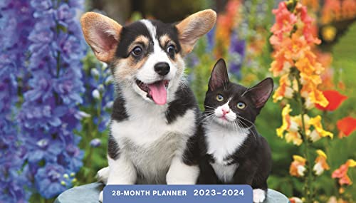 9781648704932: Whiskers & Paws 2023 – 2024 28 Month Planner: 2 Year Calendar Planner