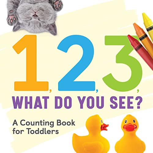 Stock image for 1, 2, 3, What Do You See?: A Counting Book for Toddlers for sale by Goodwill of Colorado