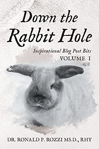 Imagen de archivo de Down the Rabbit Hole: Inspirational Blog Post Bits Volume 1 a la venta por Lucky's Textbooks