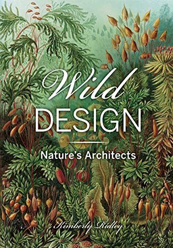 Stock image for Wild Design: Natures Architects for sale by Bookoutlet1