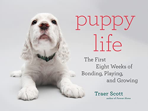 Beispielbild fr Puppy Life: The First Eight Weeks of Bonding, Playing, and Growing zum Verkauf von SecondSale