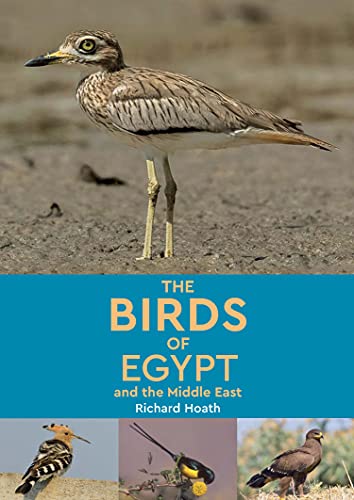 Stock image for The Birds of Egypt and the Middle East for sale by SecondSale