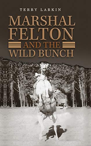 9781649089090: Marshal Felton and the Wild Bunch