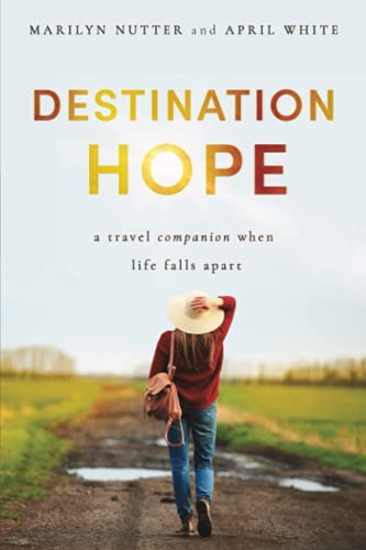 Stock image for Destination Hope: A Travel Companion When Life Falls Apart for sale by SecondSale