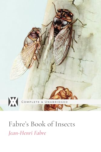 Stock image for Fabre's Book of Insects: With 12 Original Illustrations by E. J. Detmold for sale by GF Books, Inc.