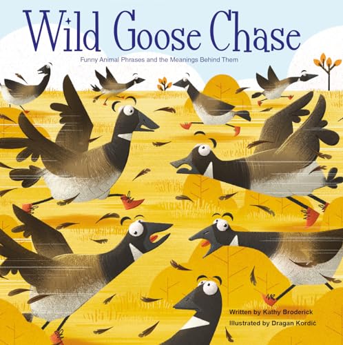 Imagen de archivo de Wild Goose Chase (Wonderful Words) a la venta por Books Unplugged