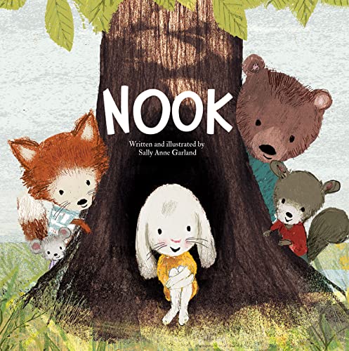 9781649967480: Nook (The Sunbird Picture Books)