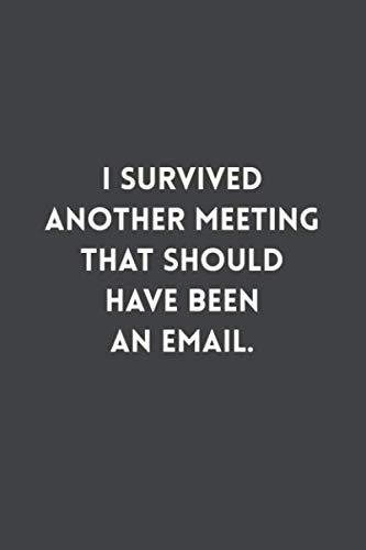 Stock image for I Survived Another Meeting That Should Have Been An Email.: Coworker Notebook (Funny Office Journals)- Lined Blank Notebook Journal for sale by Revaluation Books