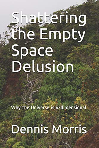Stock image for Shattering the Empty Space Delusion: Why the Universe is 4-dimensional for sale by Save With Sam