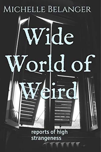 Beispielbild fr Wide World of Weird: reports of high strangeness zum Verkauf von ThriftBooks-Dallas