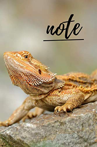 Imagen de archivo de Bearded Dragon Notebook: unique bearded dragons gift for animal and reptile lovers (blank lined journal) great for writing notes and ideas for home . book (120 pages) pet lizard notepad a la venta por Revaluation Books