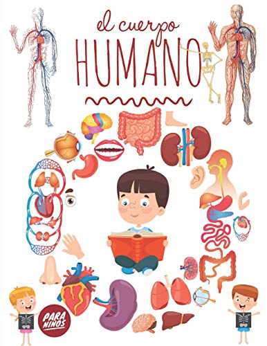 El Cuerpo Humano Para NiÃ±os: Mira debajo de tu cuerpo a partir de 3 aÃ±os,  Enciclopedia para niÃ±os. -Language: spanish by Éducation, Pixa: New (2020)  | GreatBookPricesUK