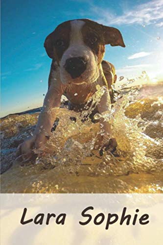 Stock image for Lara: Tagebuch / Journal Personalisiertes Notizbuch Lara - individuelles Namensbuch mit Hunde Motiv | DIN A5 100 Seiten | liniert for sale by Revaluation Books