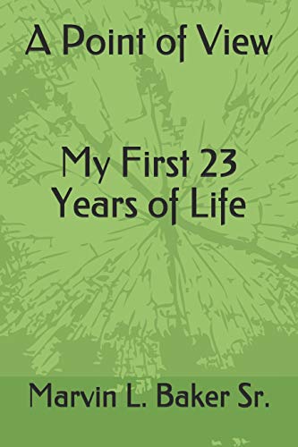 Imagen de archivo de A Point of View My First 23 Years of Life a la venta por Revaluation Books