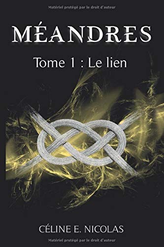 Imagen de archivo de MEANDRES: TOME 1 : Le Lien a la venta por Librairie Th  la page