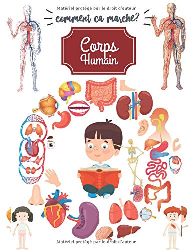 Comment ça marche ?: Corps humain 4 ans, Anatomie, Organes et physiologie pour  enfant. (French Edition) - Éducation, Pixa: 9781656425768 - AbeBooks
