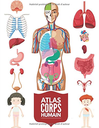 Educa - Corps humain - anatomie 