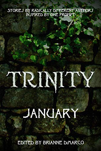 Stock image for Trinity: January for sale by SecondSale