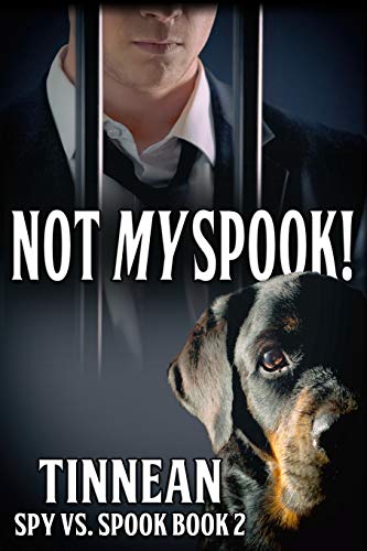 Stock image for Not My Spook! (Spy vs. Spook) for sale by Lucky's Textbooks