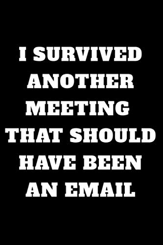 Stock image for I Survived Another Meeting That Should Have Been An Email: College Blank Lined Funny Quote Journal Gifts for Girls Boys Women Men | 6x9 Diary 110 Pages for sale by Revaluation Books