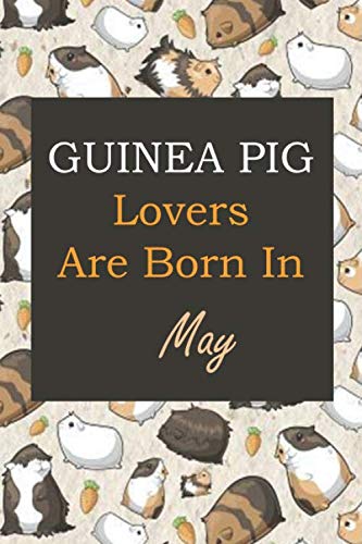 Beispielbild fr Guinea Pig Lovers Are Born In May: Guinea Pig Lovers Are Born In May: Pig gifts. This Pig Notebook / Pig Journal has a fun cover. It is 6x9in size . gifts. Gifts for Pig lovers. Pig presents. zum Verkauf von Revaluation Books