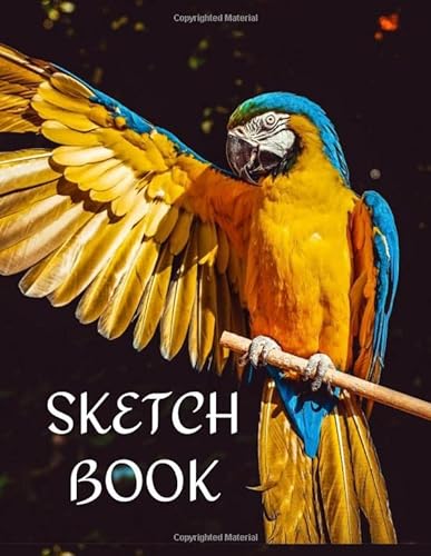 Stock image for Sketch Book: a Large Journal with Blank Paper for Drawing, Writing, Painting, Sketching or Doodling | 121 Pages, 8.5x11 | Sketchbook Abstract Cover V.10 (8.5 x 11 Sketchbook Notebook) for sale by Revaluation Books