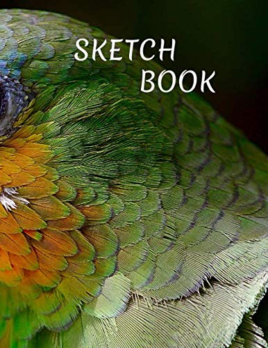 Stock image for Sketch Book: a Large Journal with Blank Paper for Drawing, Writing, Painting, Sketching or Doodling | 121 Pages, 8.5x11 | Sketchbook Abstract Cover V.73 (8.5 x 11 Sketchbook Notebook) for sale by Revaluation Books