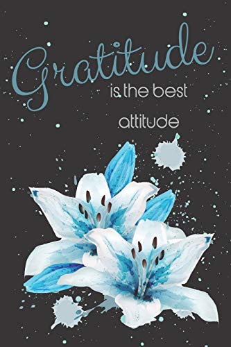 Imagen de archivo de Gratitude is the best attitude: Daily Gratitude Journal for Women, 120 Pages Journal, 6 x 9 inch a la venta por Revaluation Books