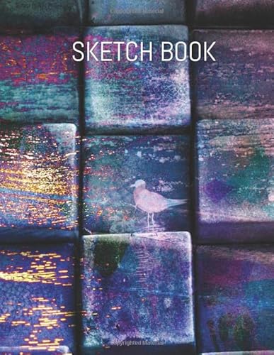 Stock image for Sketch Book: Large Notebook for Drawing, Painting, Sketching or Doodling with Blank Paper | 121 Pages, 8.5x11 | Sketchbook White Paper V.84 (8.5 x 11 Sketchbook Large) for sale by Revaluation Books