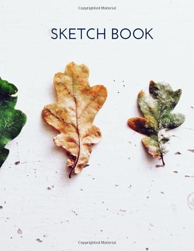 Stock image for Sketch Book: Sketchbook a Large Journal with Blank Paper for Drawing | 121 Pages, 8.5x11 | Notebook Blank Sheets V.28 (8.5 x 11 Sketchbook Idea) for sale by Revaluation Books