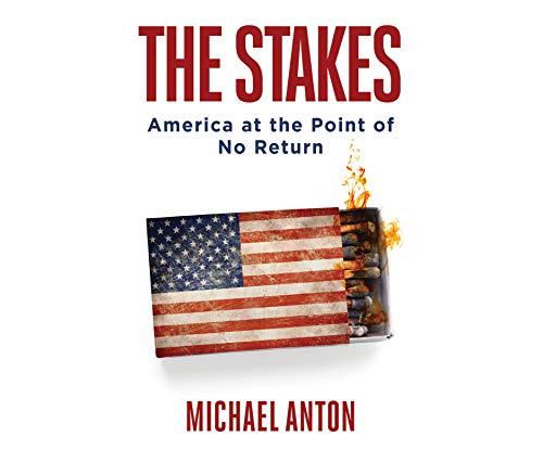 Stock image for The Stakes: America at the Point of No Return for sale by Books-FYI, Inc.