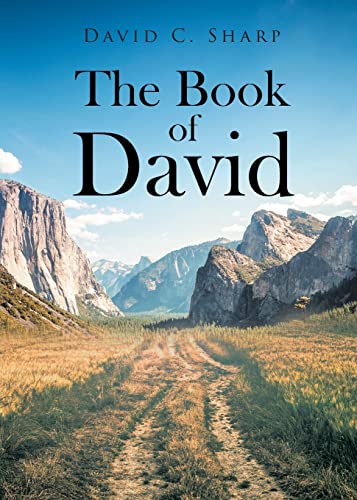 Stock image for The Book of David for sale by ThriftBooks-Dallas