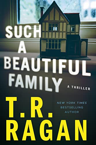 Stock image for Such a Beautiful Family: A Thriller for sale by BooksRun